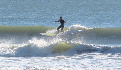 IMG_1617a.jpg