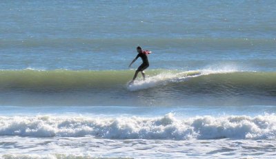 IMG_1664a.jpg