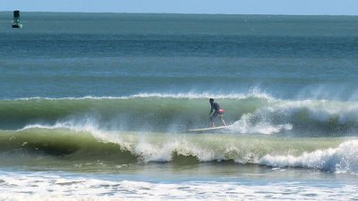 IMG_1671b.jpg