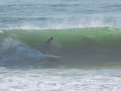 IMG_1913a.jpg