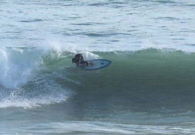 IMG_1924a.jpg