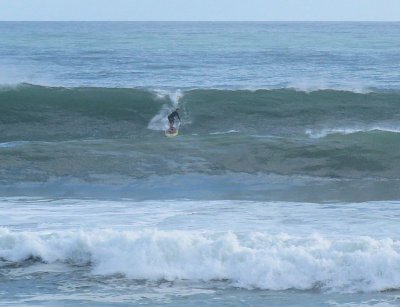 IMG_2031a.jpg