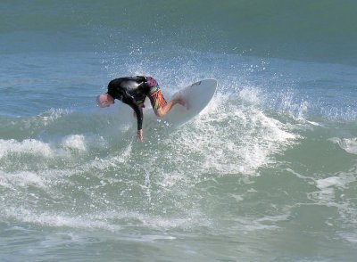 IMG_2246a.jpg