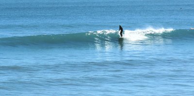 IMG_2578a.jpg