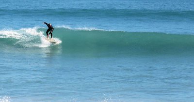 IMG_2580a.jpg