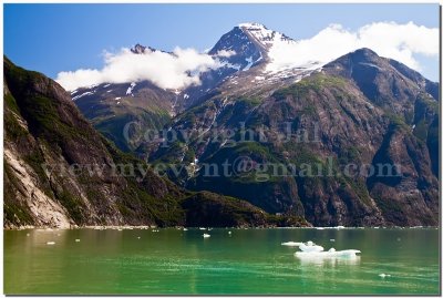IMG_5718.jpg On the way to Tracy Arm