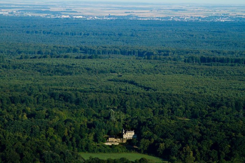 La forêt de Compiègne