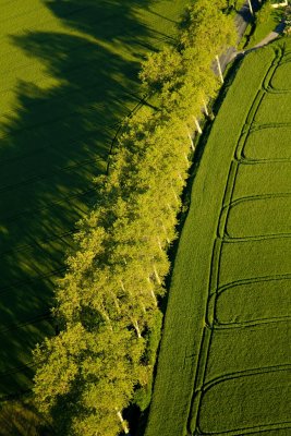 Un air de printemps