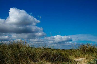Juno Beach