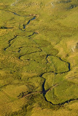 L'Aubrac