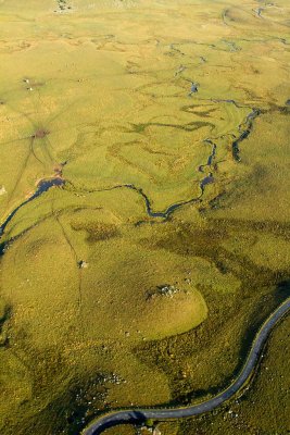 L'Aubrac