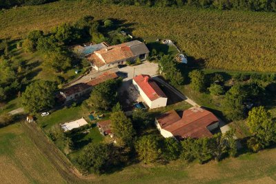 Flânerie dominicale