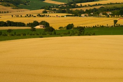 Au ras des champs