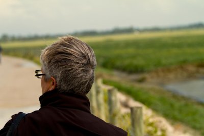 Sèche-cheveux
