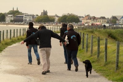 Alain Livingstone, le goéland
