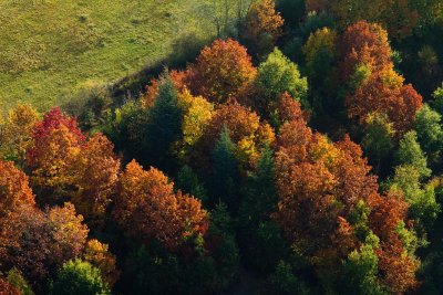 L'automne est bien là