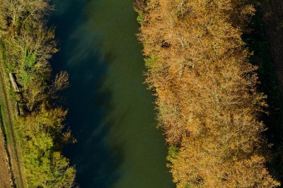 Le canal du Midi