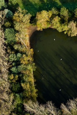 L'été de la Saint Martin