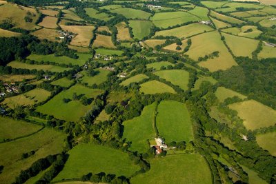 Above the Dartmoor