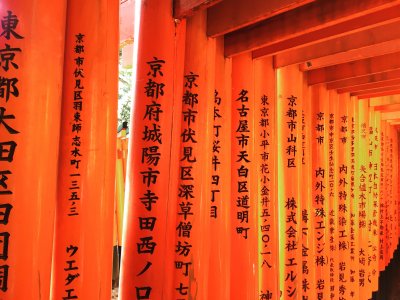 Fushimi Inari 