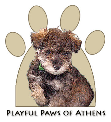 Playful Paws logo