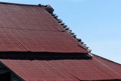 red-roof1.jpg