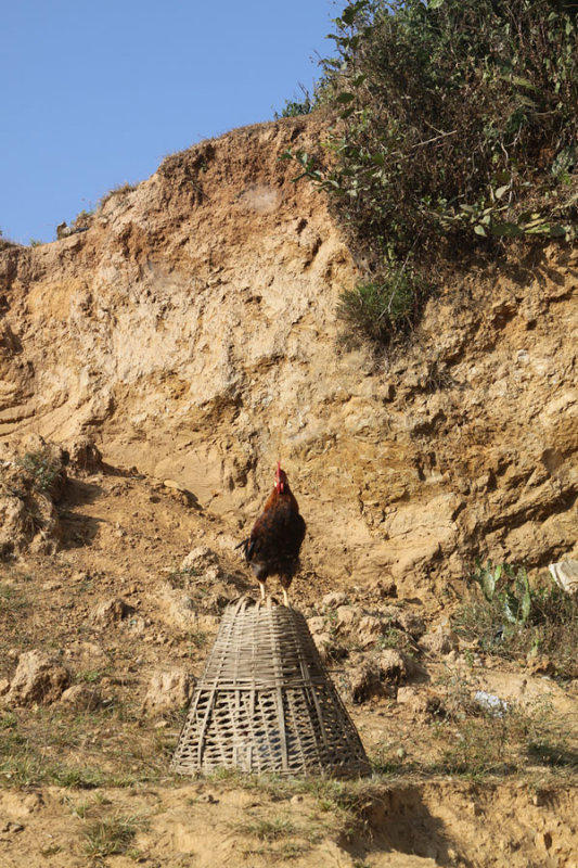 Kathmandu Valley Trekking