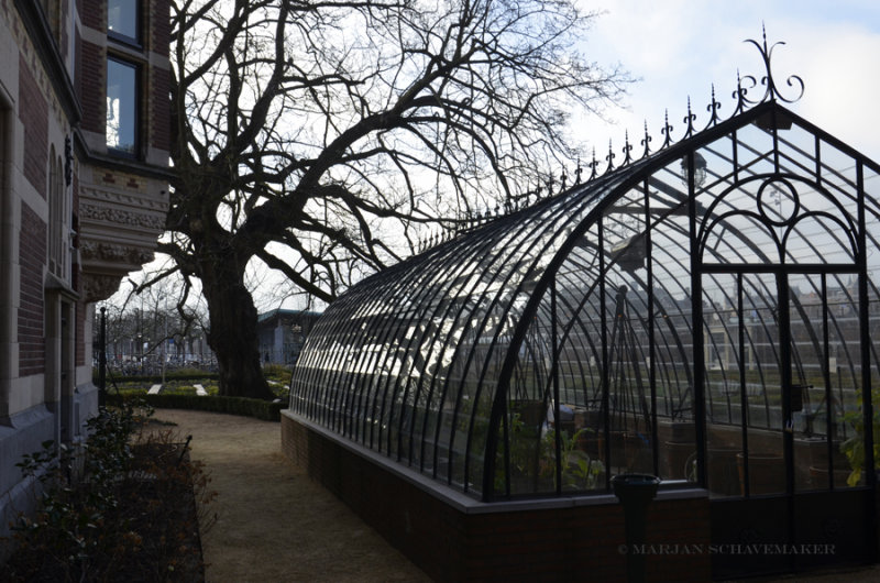 Greenhouse of the Rijksmuseum