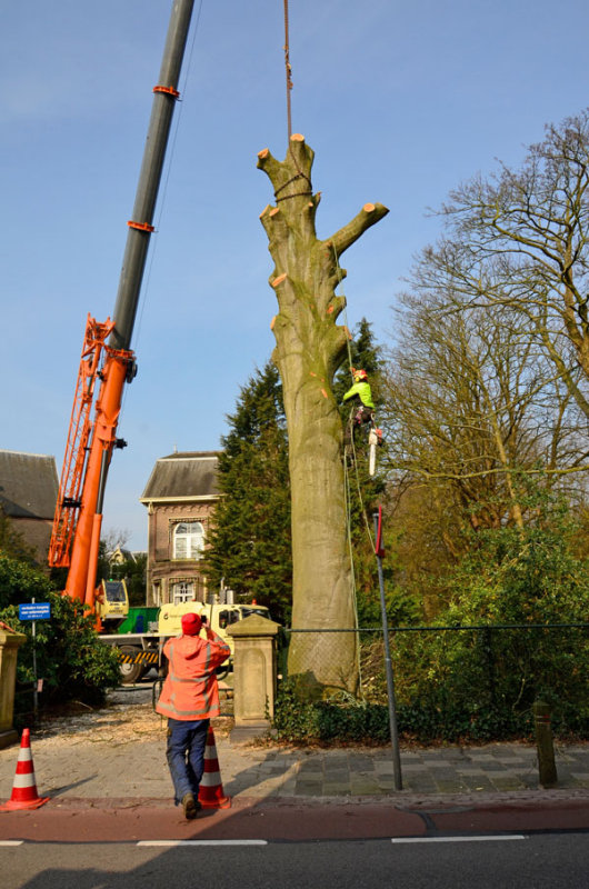 In de tuin van de St. Matthiaskerk