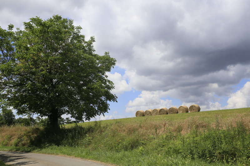 Normandy, France 2013 2014, Le Périgord 2016