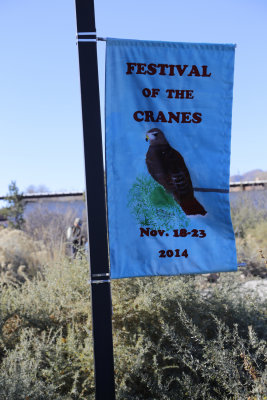 El Bosque del Apache Wildlife Refuge