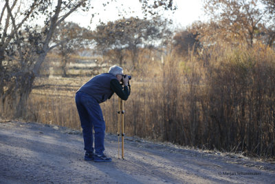 El Bosque del Apache Wildlife Refuge