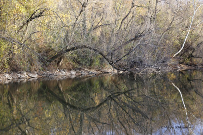 C & O Canal Towpath trail