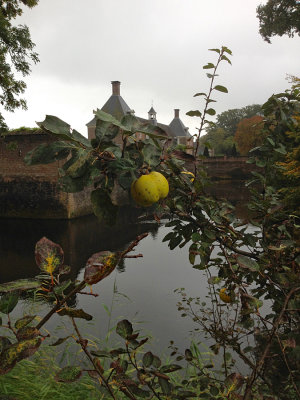 Kasteel Amerongen