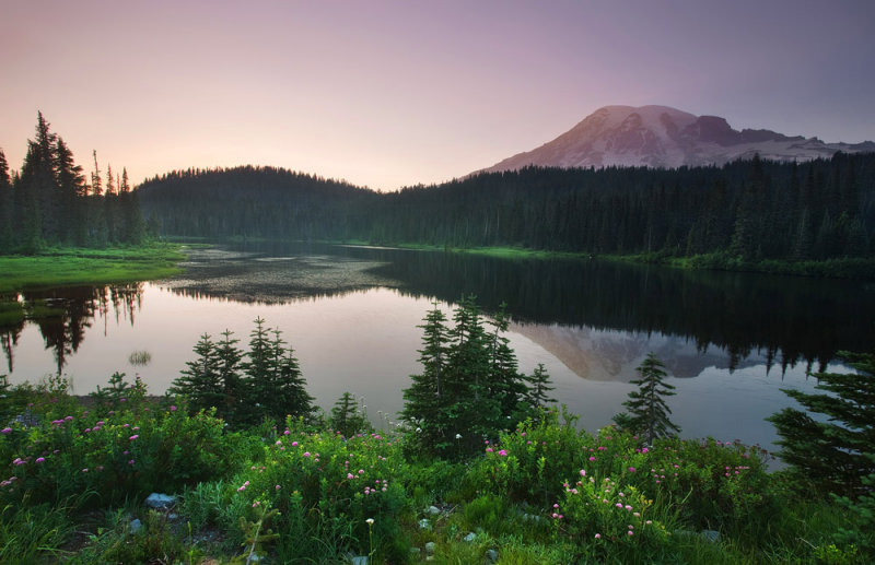 Mt Rainier at Reflection Lake