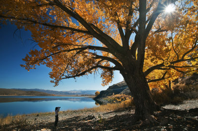 Topaz Lake autumn