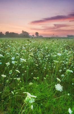 Prairie morning