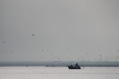 A lake in Hebei, China