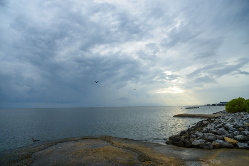 storm coming to Mobile bay copy.jpg