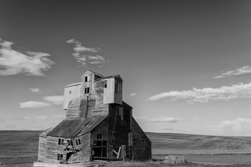 palouse_scenes