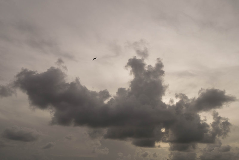 cloudsjpeg.jpg