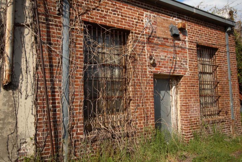 store back.jpg