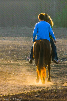 An Afternoon Horseback riding II