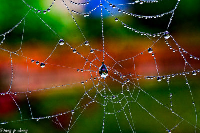 web of temptation for a jewel