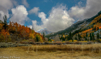 fall colors of South Lake Hills