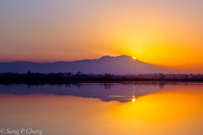 The eyes of the dawn at Bolsa Chica