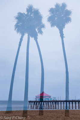 pier restaurant and palm trees