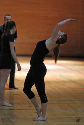 2015_12_08 Orchesis WIPS