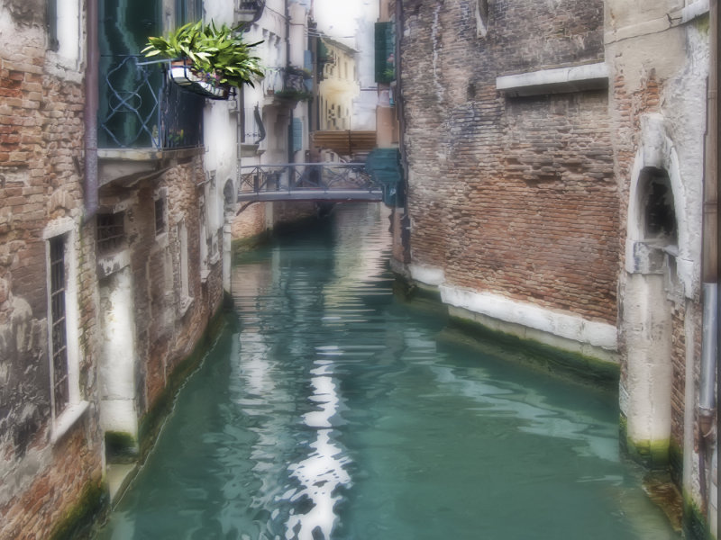 The Back Water