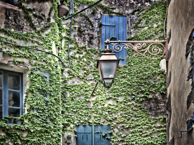 The Lamp in Ivy courtyard